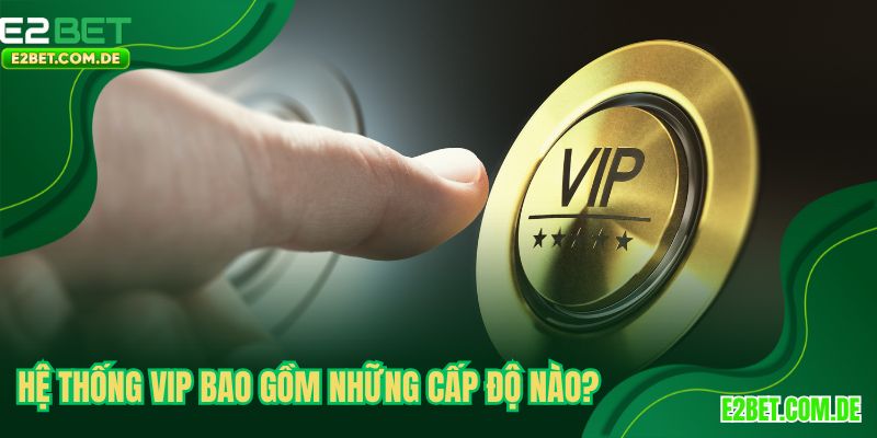 Hệ thống VIP bao gồm những cấp độ nào?