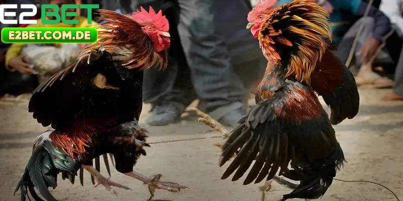 Ưu đãi tuyệt vời cho thành viên mới tham gia
